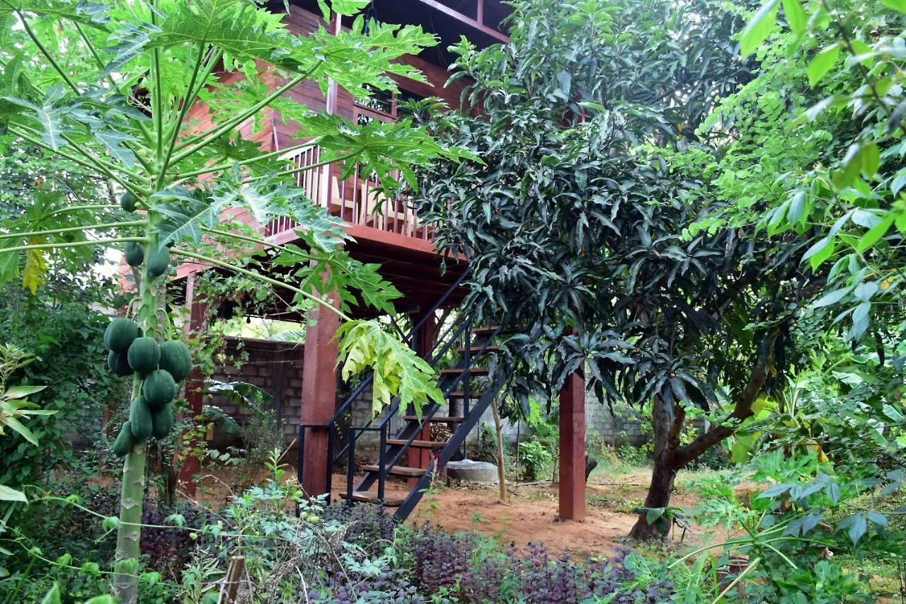 Sun&Green Eco Lodge Dambulla