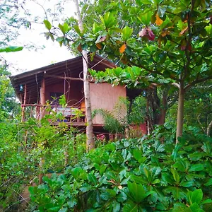  Kwatera prywatna Akash Treehouse